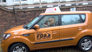 Fake Driving School Amber Rayne esete a hatalmas néger fasszal