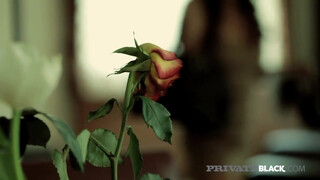 Angelica Heart análba dugva